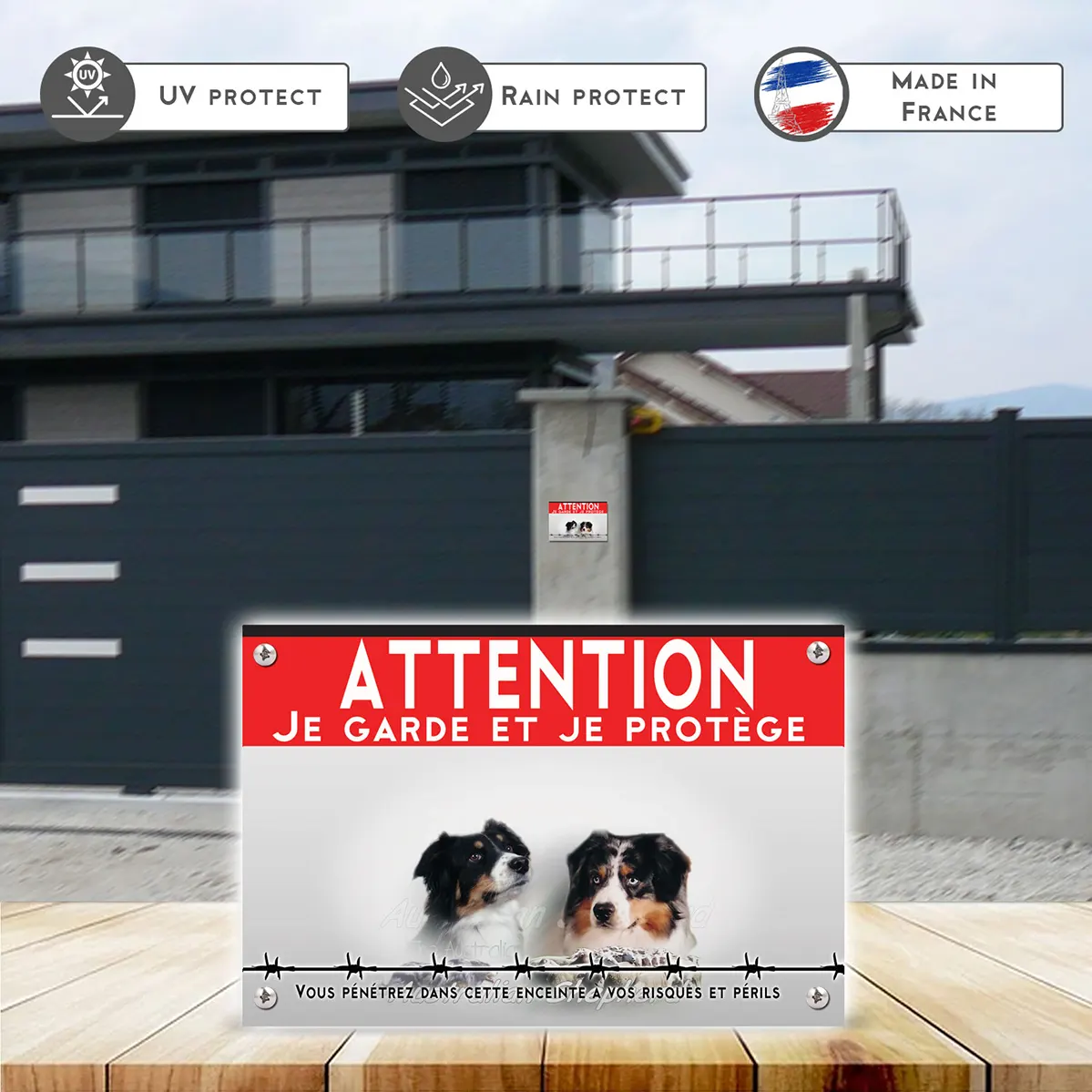 Grande pancarte Portraits de chiens Australian Shepherd avec troupeau de moutons en fond