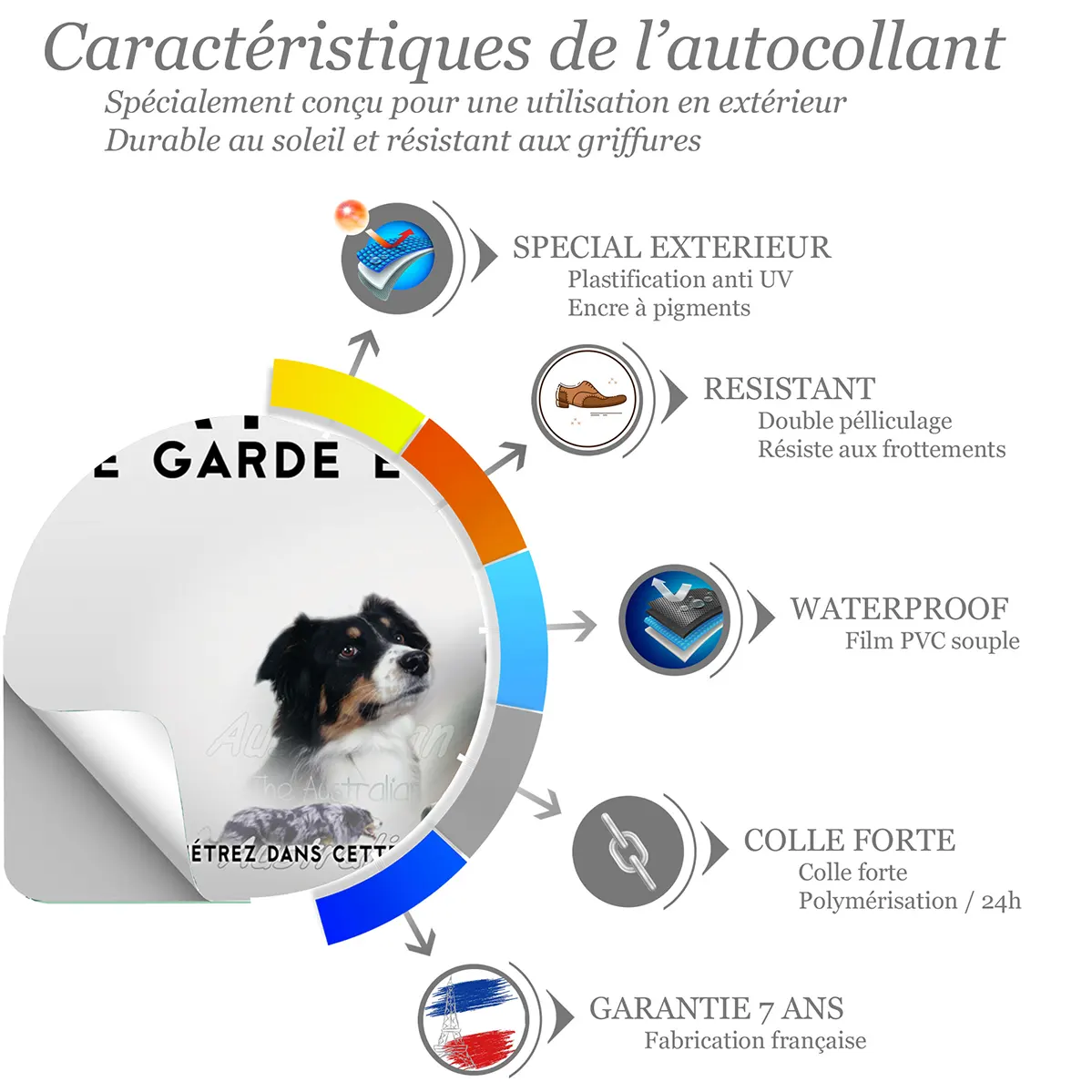 Sticker Portraits de chiens Australian Shepherd avec troupeau de moutons en fond