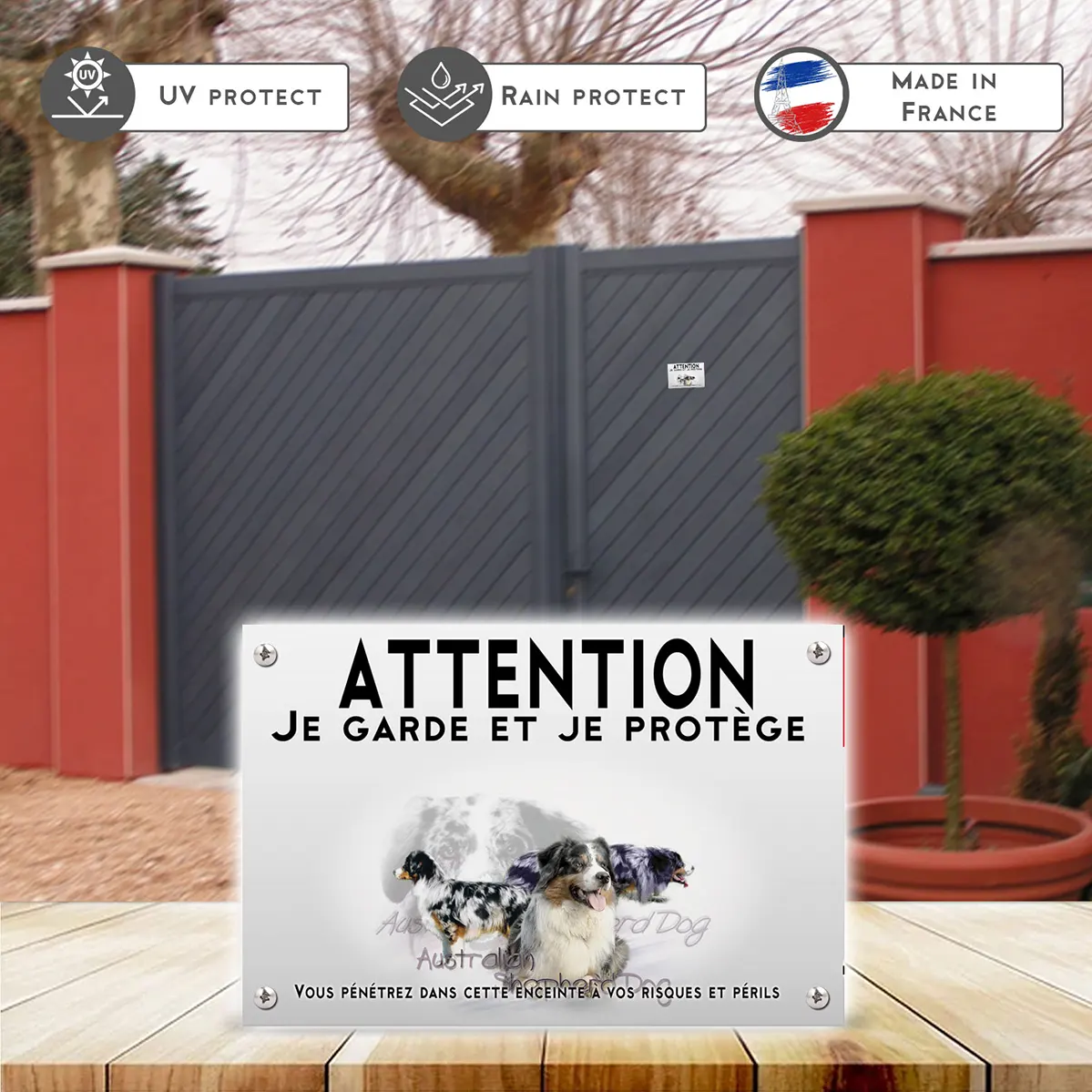 Plaques Trois chiens de berger australien au profil varié