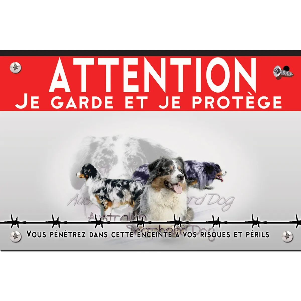 Signalisation personnalisee Trois chiens de berger australien au profil varié