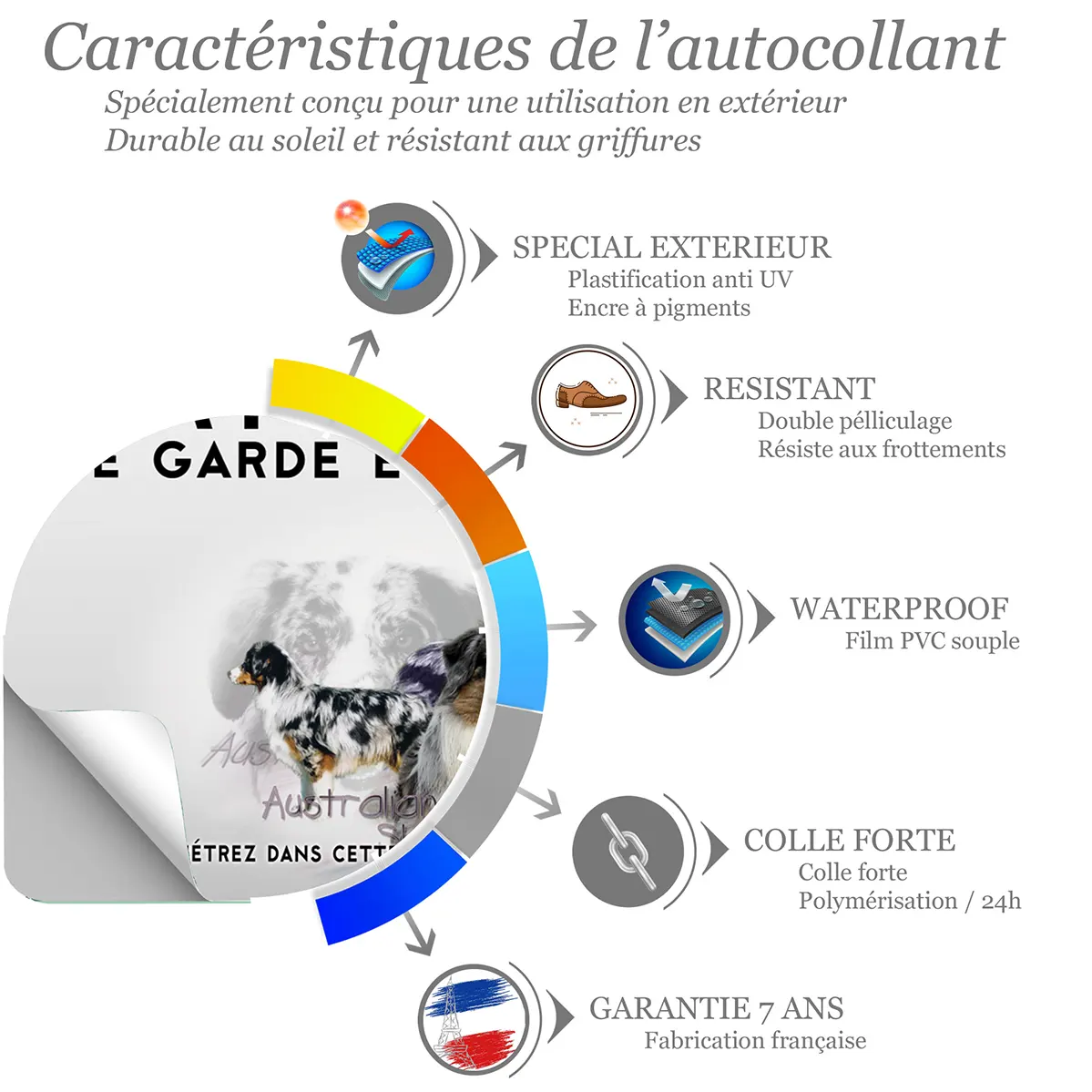 Sticker Trois chiens de berger australien au profil varié