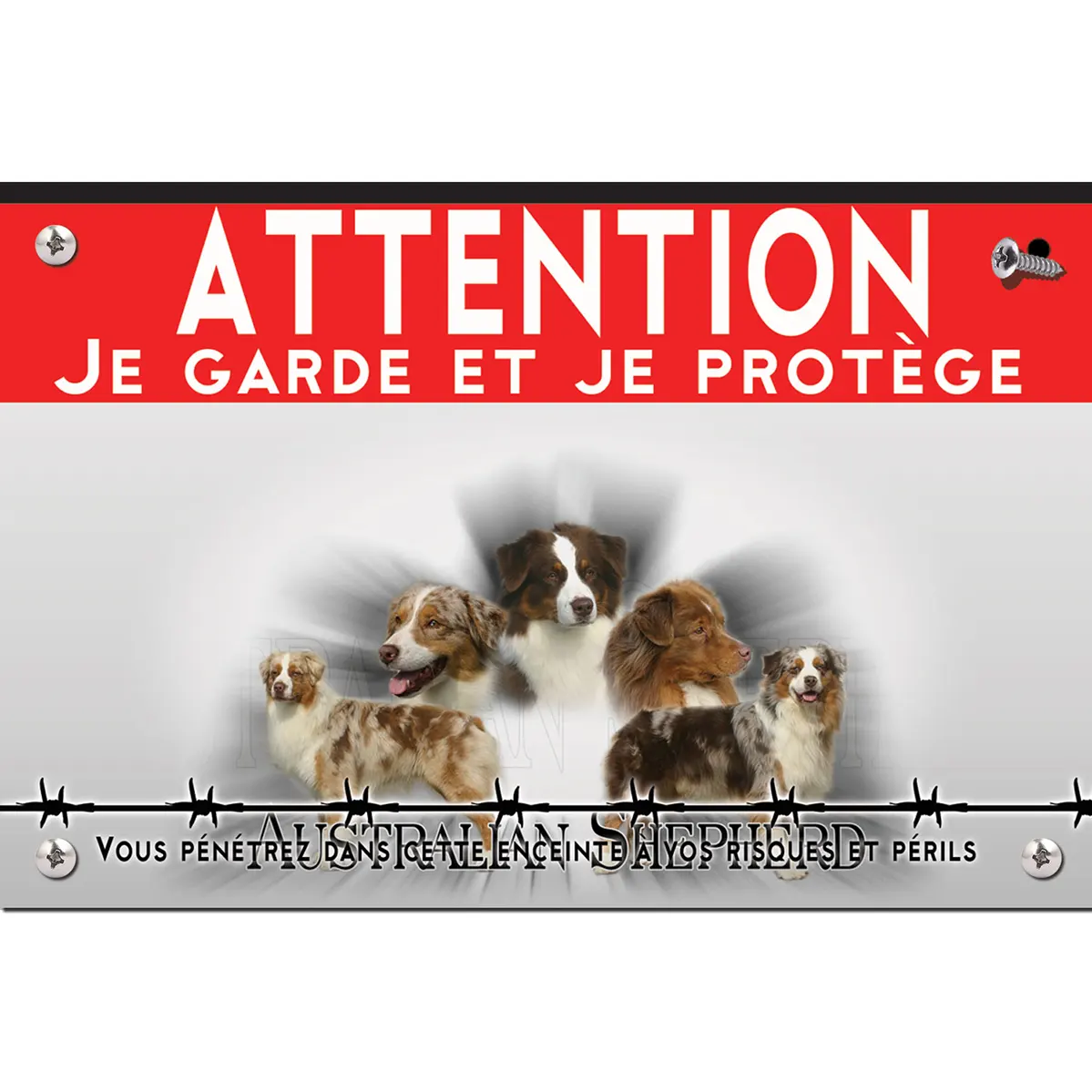 Signalisation personnalisee Chien Australian Shepherd aux diverses couleurs.