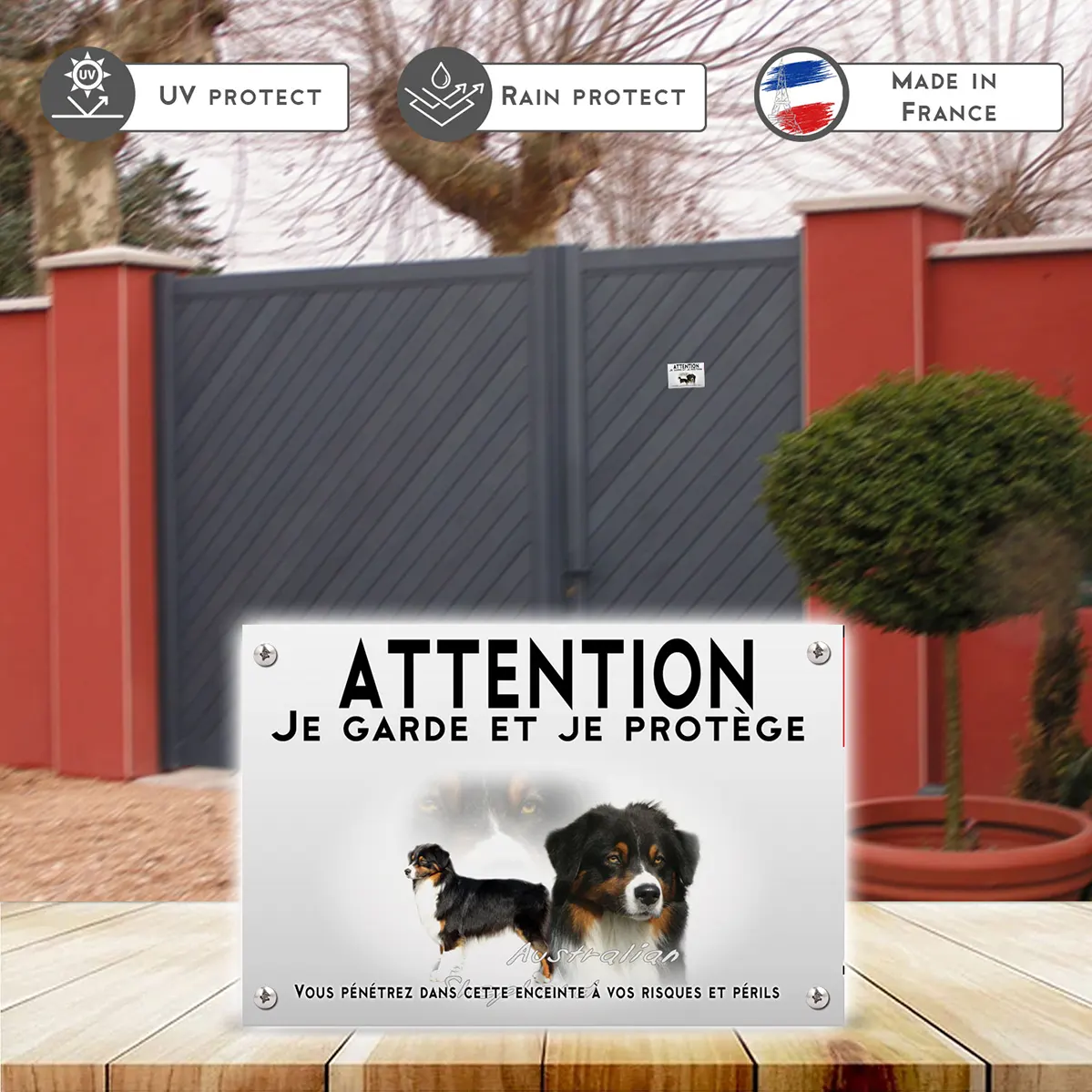 Plaques Australian Shepherd avec une tête et un chien entier