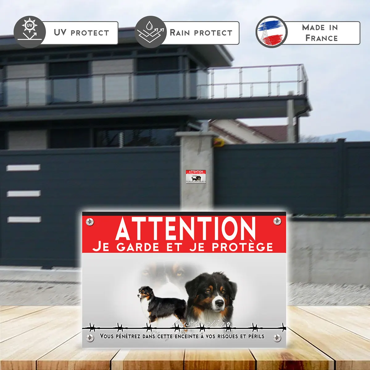 Grande pancarte Australian Shepherd avec une tête et un chien entier