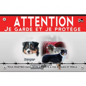 Signalisation personnalisee Trois chiens Berger Américain Miniature en différentes poses.