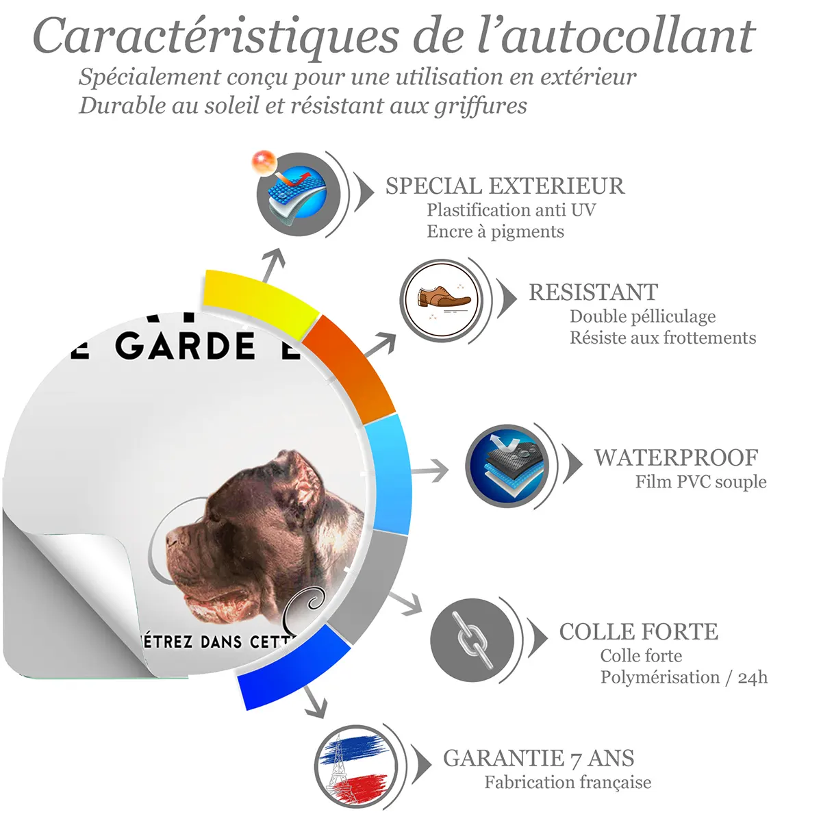 Sticker Cane Corso dog portrait with text