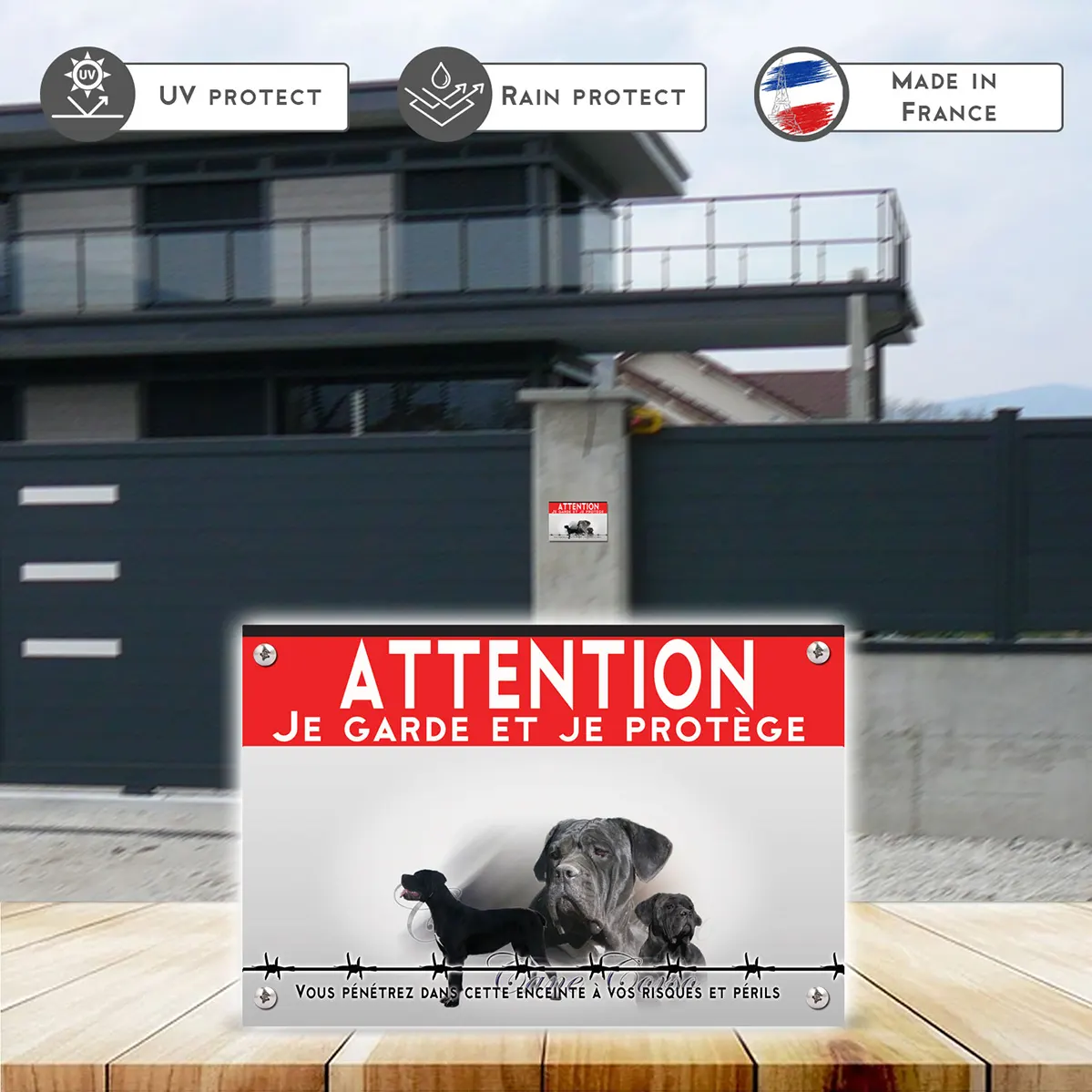 Grande pancarte Portraits de Cane Corso avec différentes poses.