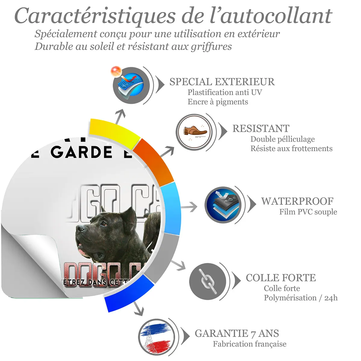 Sticker Dogo Canario avec vue de profil et de face