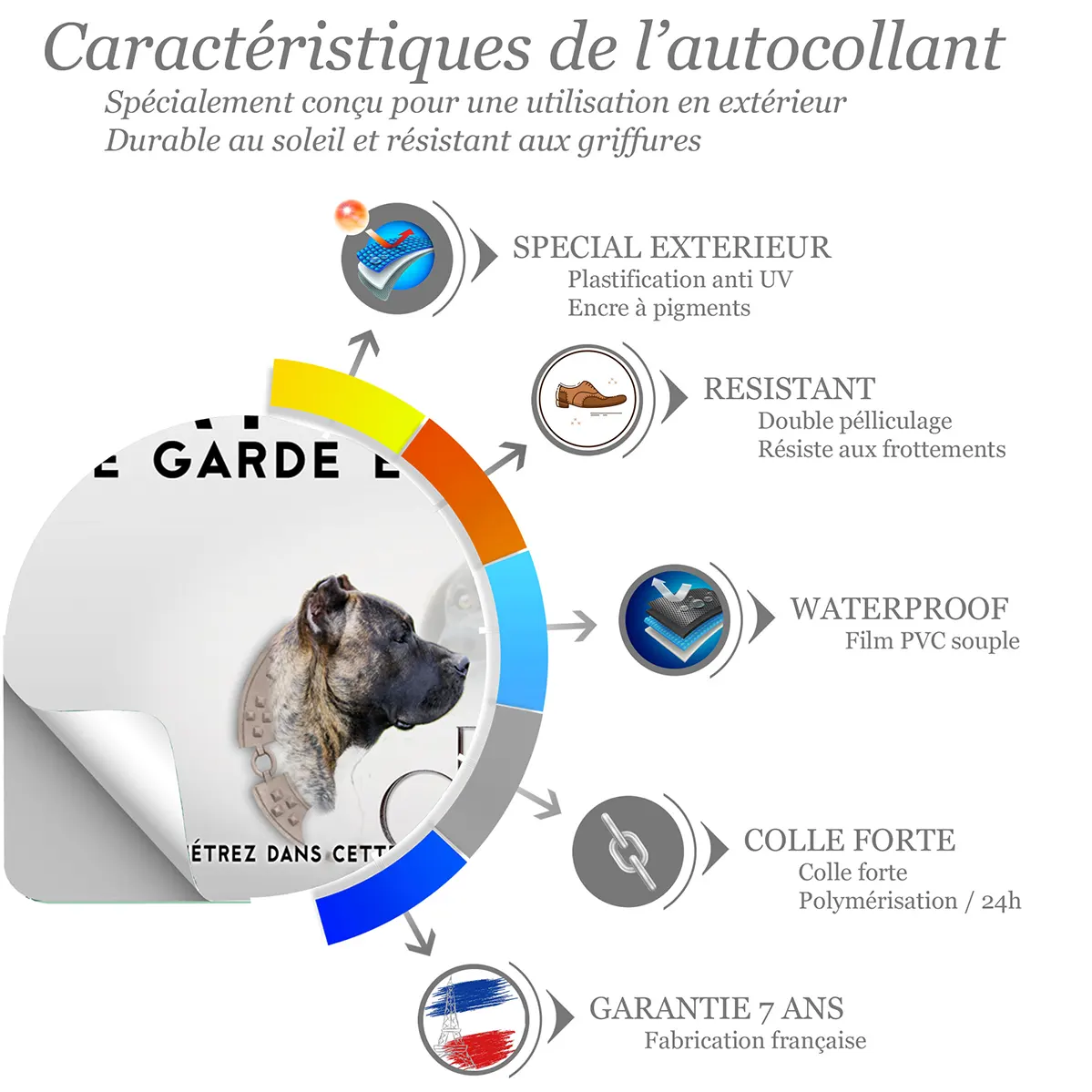 Sticker Dogo Canario en profil avec un fond stylisé