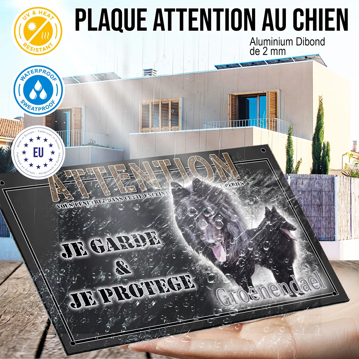 panneau chien de garde Deux Groenendael montrant leur pelage noir