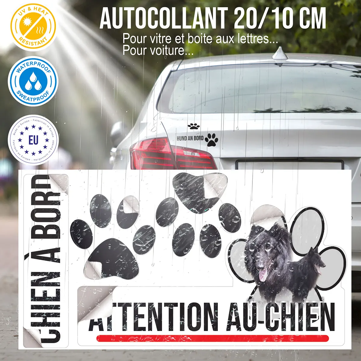 plaque chien de garde Deux Groenendael montrant leur pelage noir