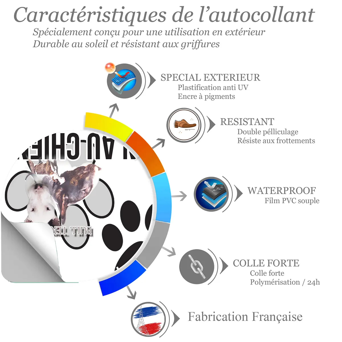 chien a bord Visuels de Bull Terrier avec plusieurs chiens