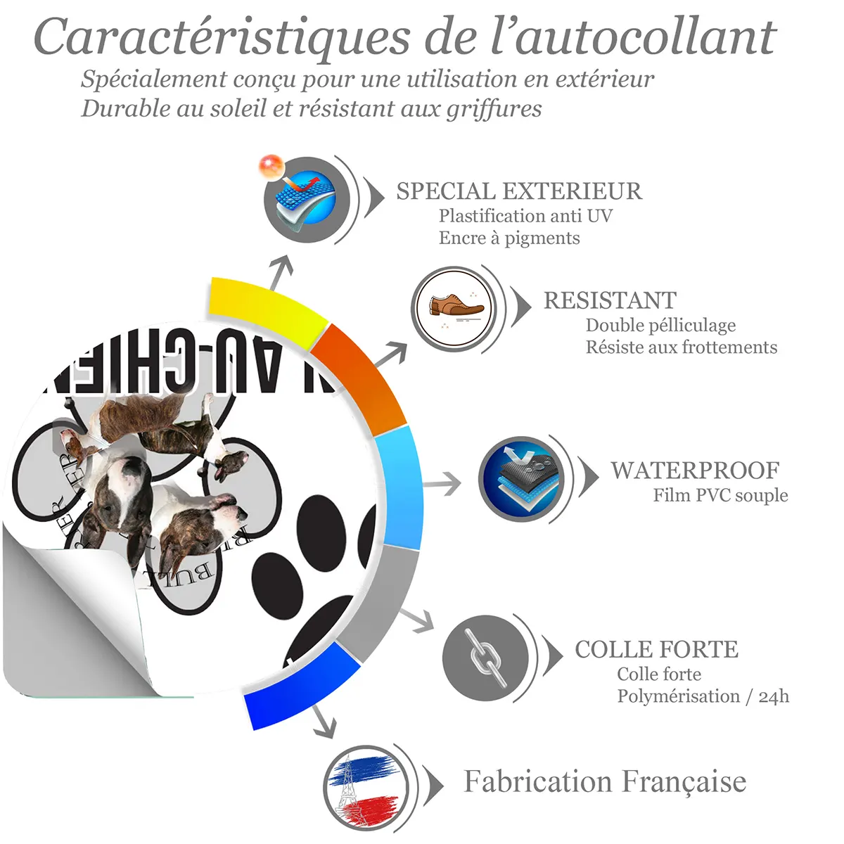 chien a bord Collage de Bull Terriers en différentes poses