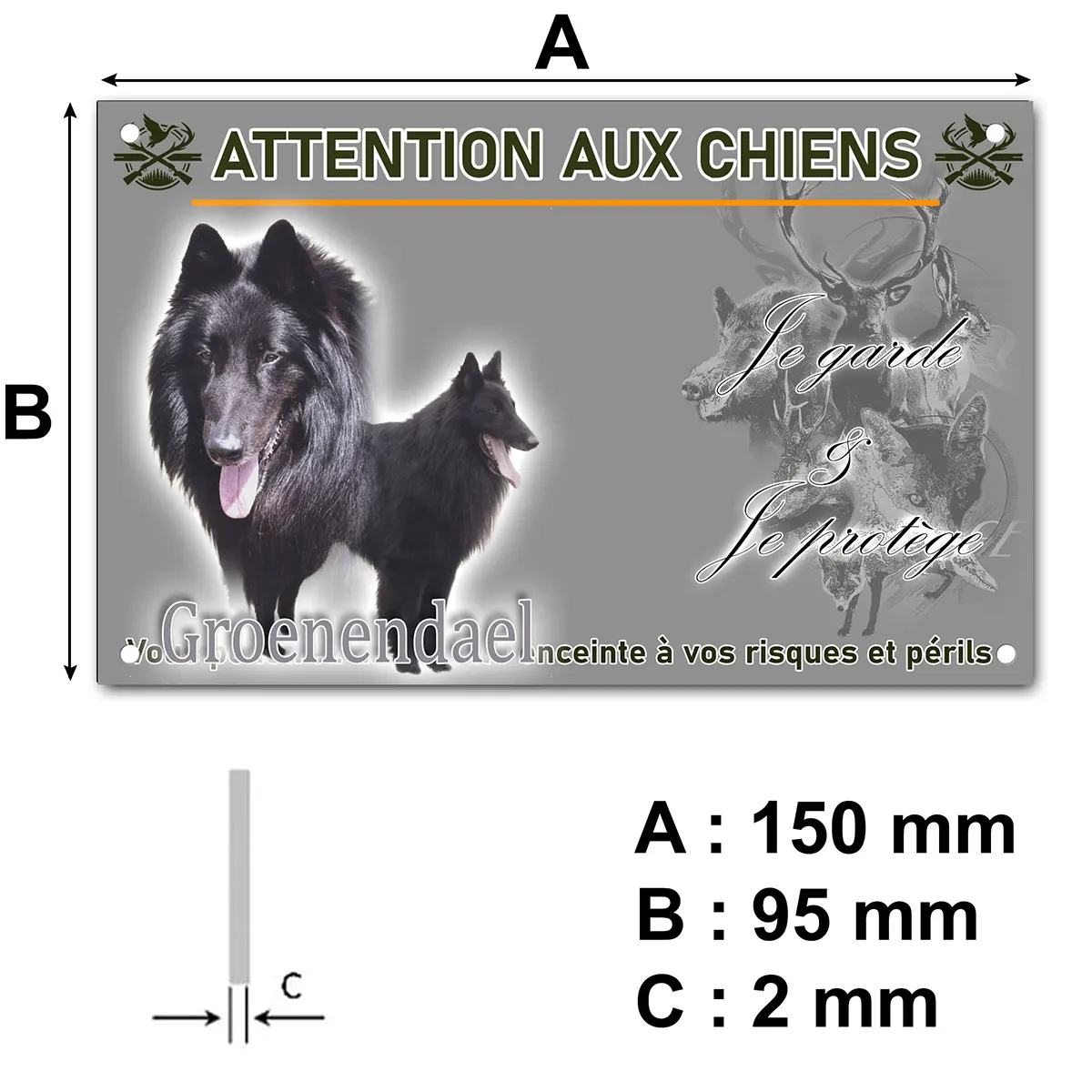 plaque Deux Groenendael montrant leur pelage noir