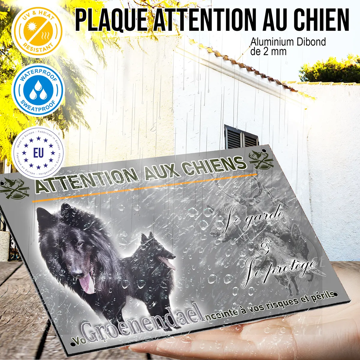 panneau Deux Groenendael montrant leur pelage noir