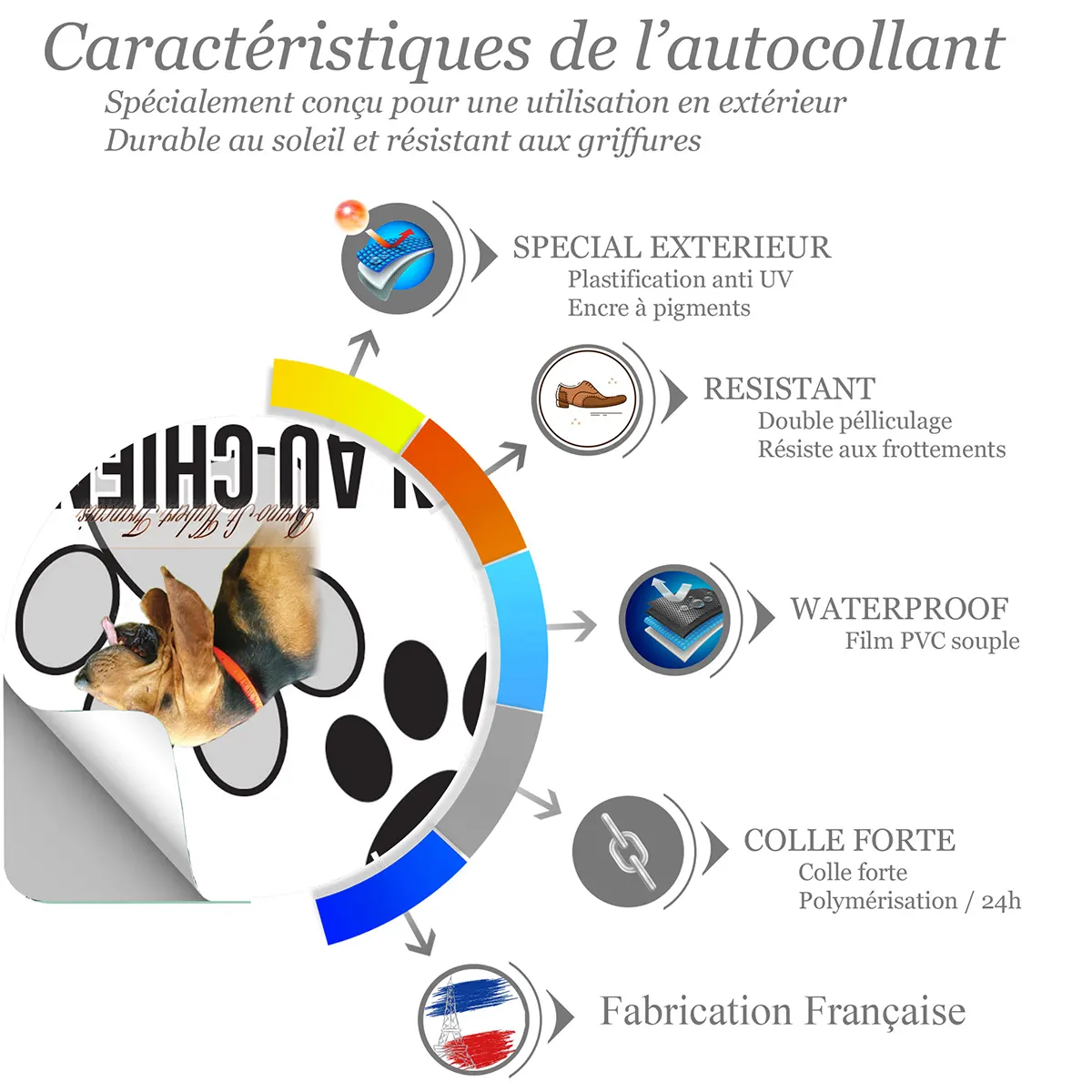 chien a bord Profil d'un Bruno St Hubert Français avec collerette orange