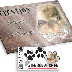 plaque attention au chien Deux Spitz Nain avec pelage doré sur fond transparent