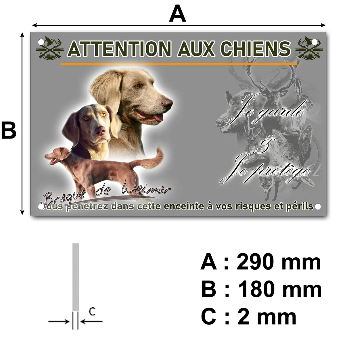 pancarte Image de Braque de Weimar avec trois chiens en arrière plan