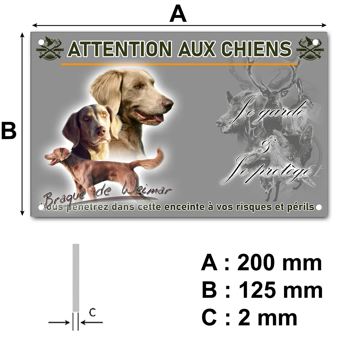 panneau Image de Braque de Weimar avec trois chiens en arrière plan