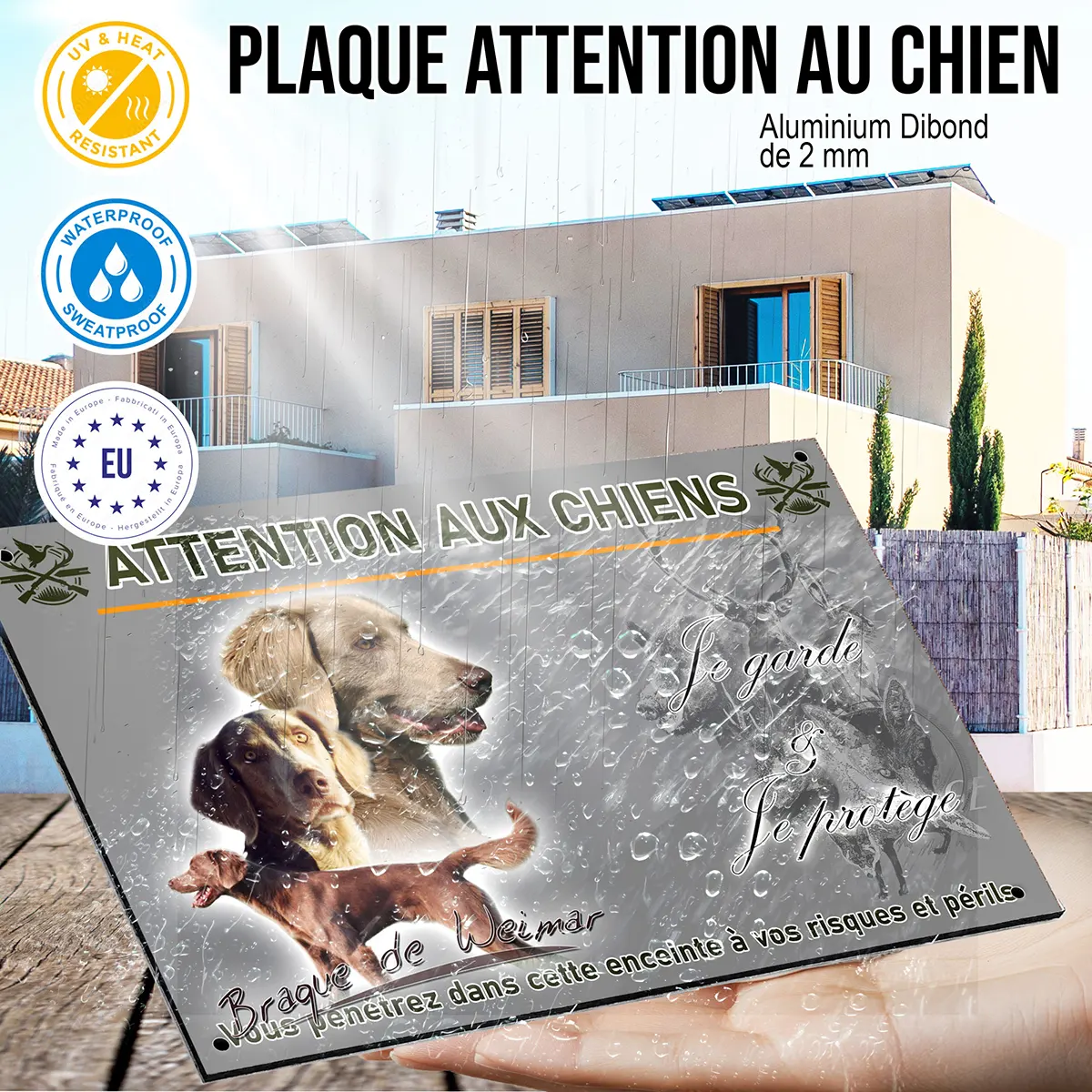 panneau Image de Braque de Weimar avec trois chiens en arrière plan