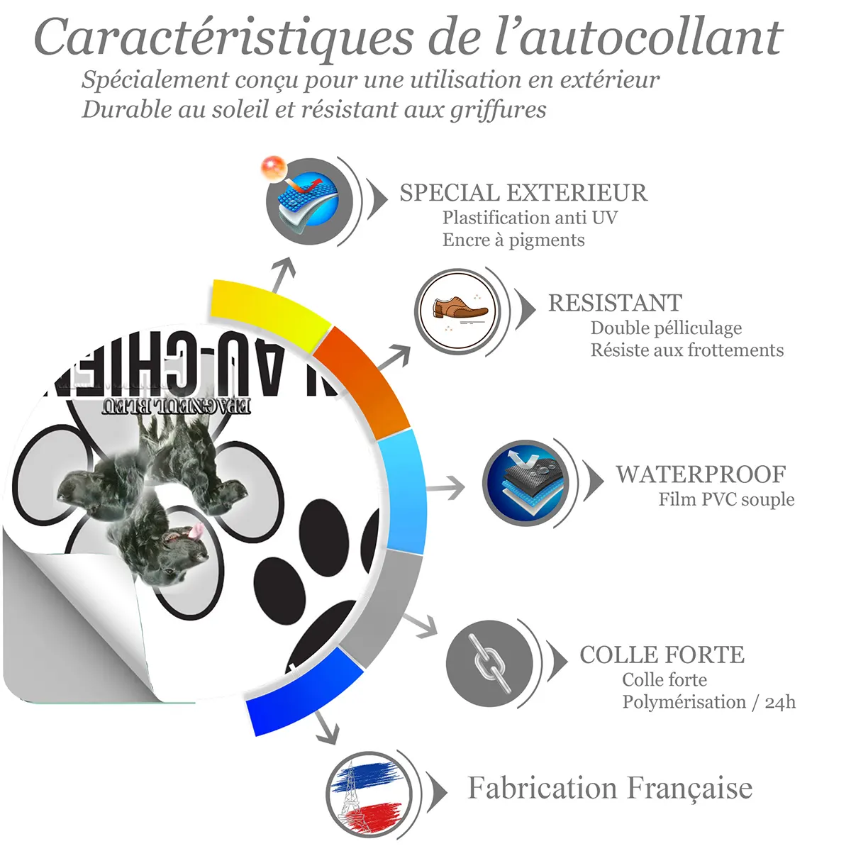 chien a bord Épagneul Bleu de Picardie avec trois perspectives