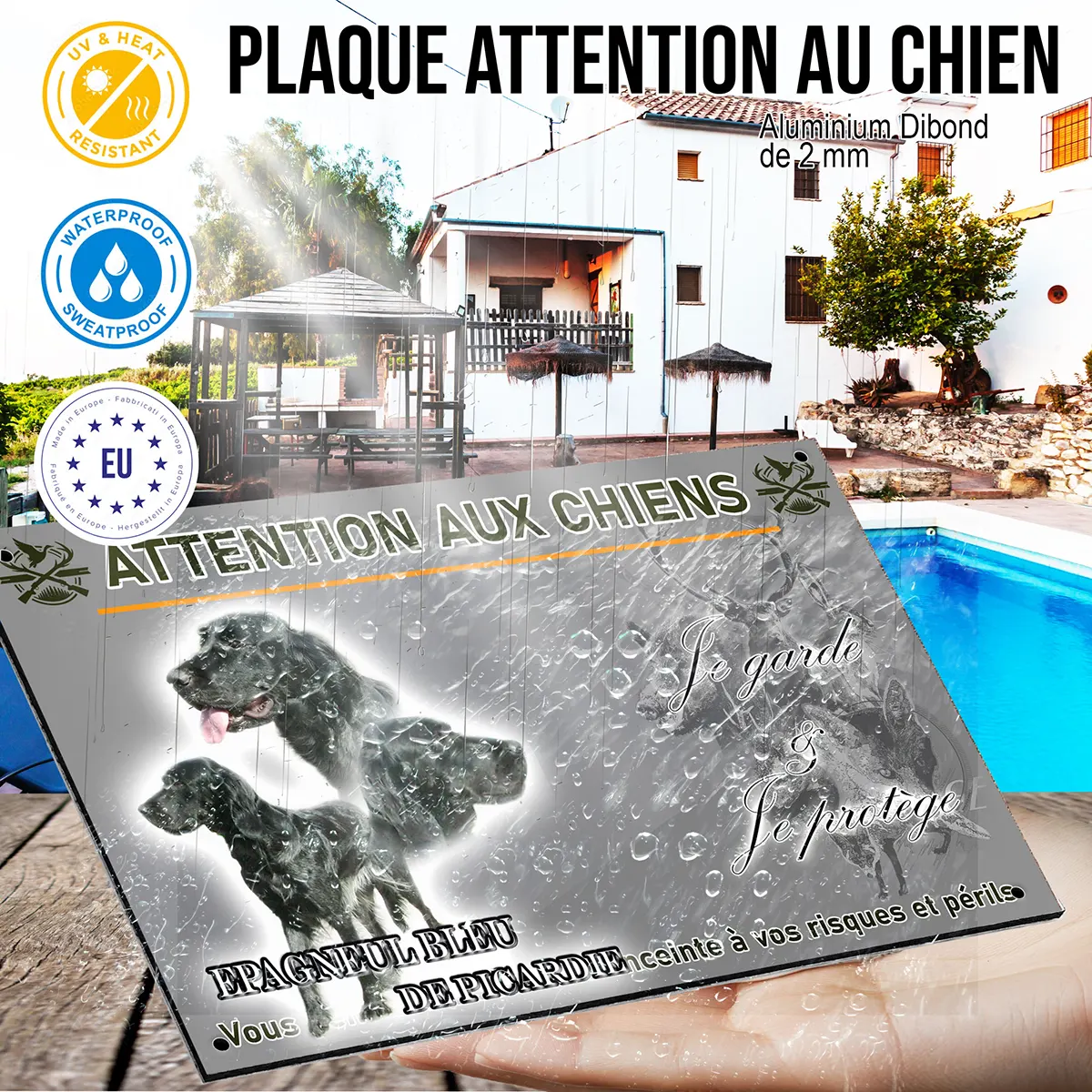 panneau Épagneul Bleu de Picardie avec trois perspectives