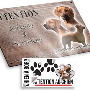 plaque attention au chien Rhodesian Ridgeback en gros plan et entier