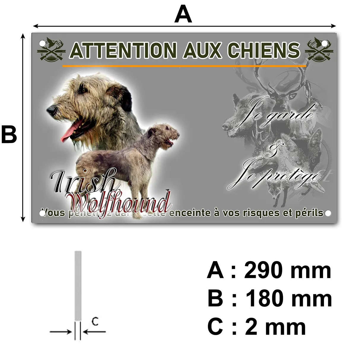 pancarte Irish Wolfhound showing a profile and full body view