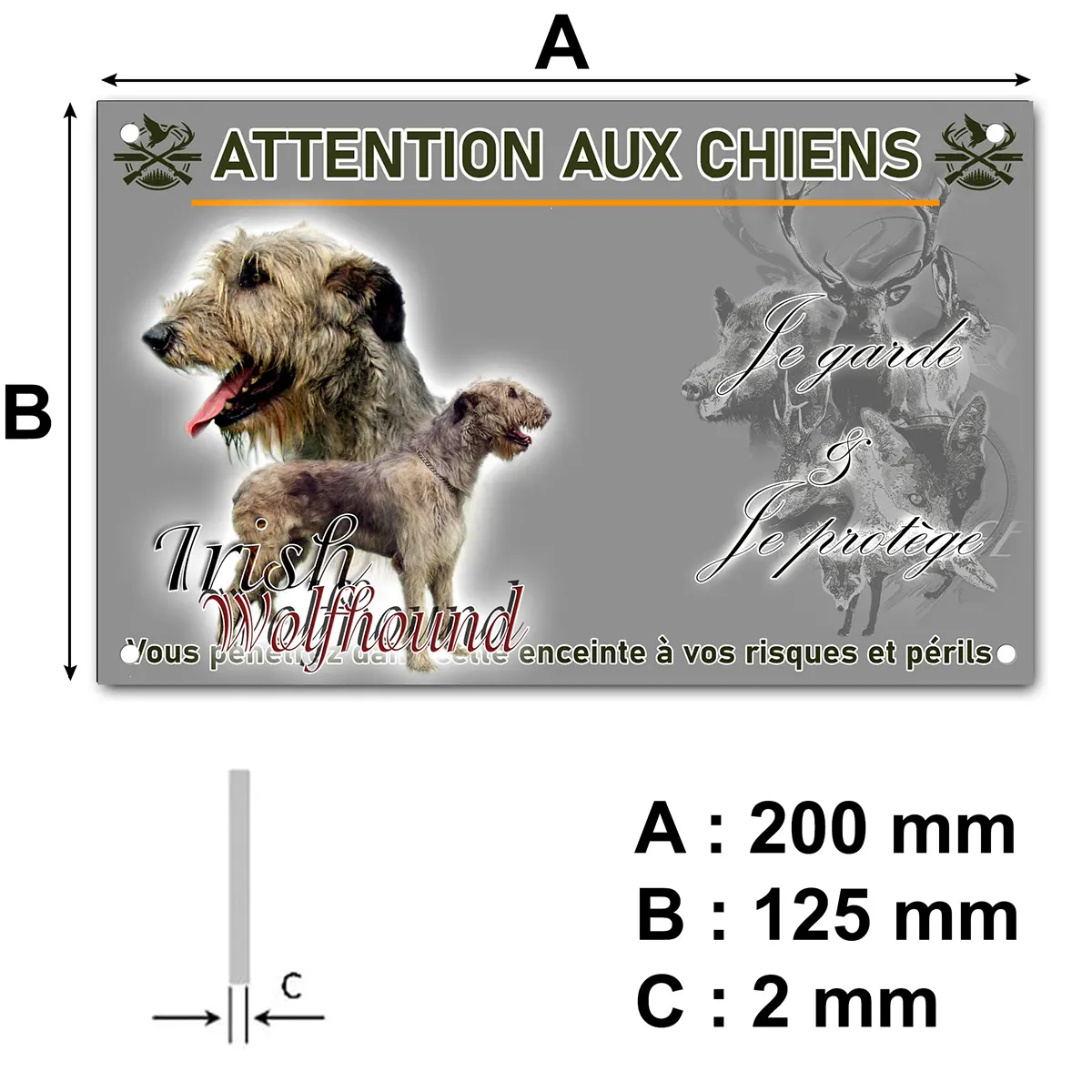 panneau Irish Wolfhound showing a profile and full body view