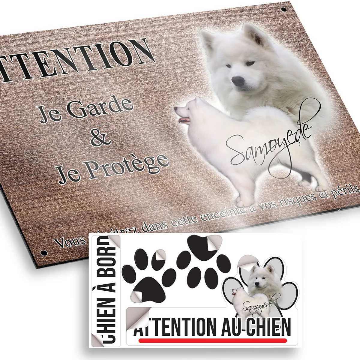 plaque attention au chien Deux chiens Samoyède sur fond flou