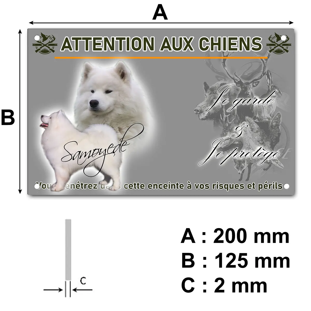 panneau Deux chiens Samoyède sur fond flou