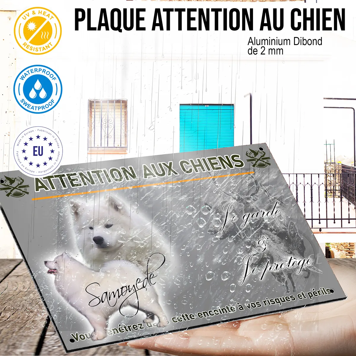 panneau Deux chiens Samoyède sur fond flou