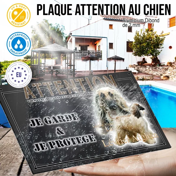 panneau chien de garde Deux lévriers afghans avec un arrière plan transparent