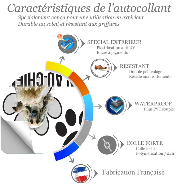 chien a bord Deux lévriers afghans avec un arrière plan transparent