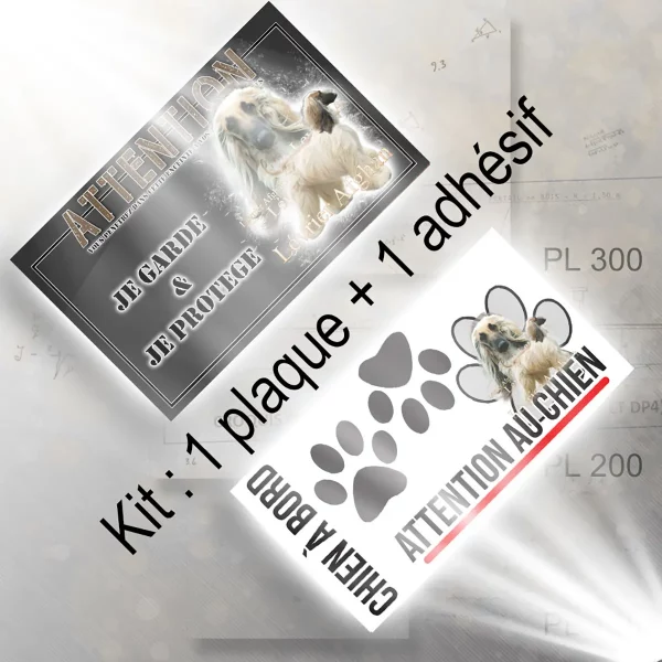 plaque chien de chasse Deux lévriers afghans avec un arrière plan transparent
