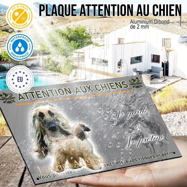 panneau Deux lévriers afghans avec un arrière plan transparent