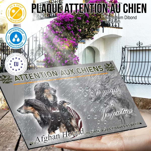 panneau Afghan Hound avec un pelage long et soyeux
