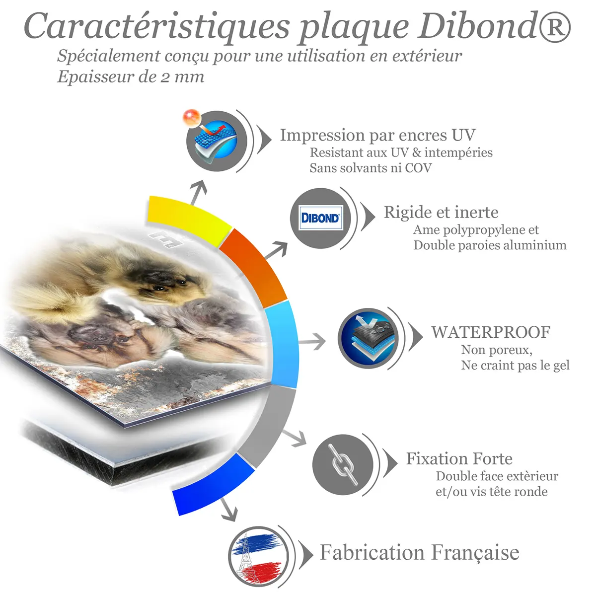 je monte la garde Tibetan Spaniel avec deux têtes en arrière plan