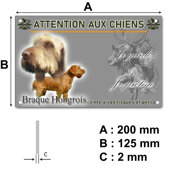 panneau Image de deux Braques Hongrois sur un fond naturel.