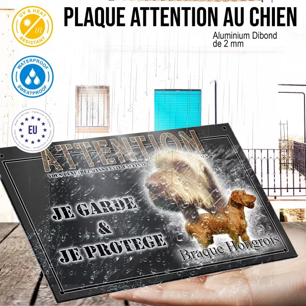 panneau chien de garde Image de deux Braques Hongrois sur un fond naturel.