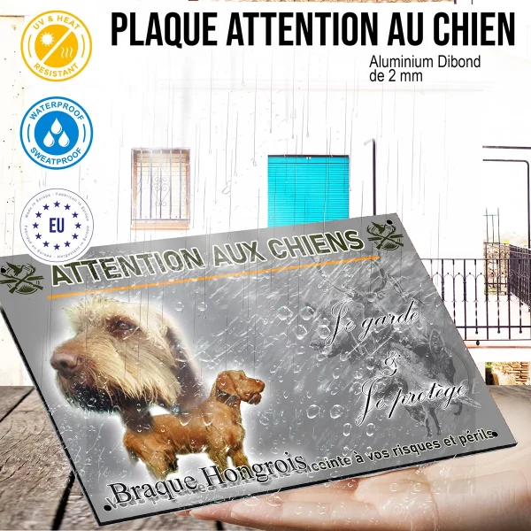 panneau Image de deux Braques Hongrois sur un fond naturel.