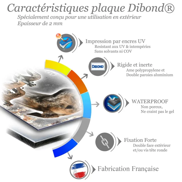 je monte la garde Visuel de plusieurs chiens Magyar Agar