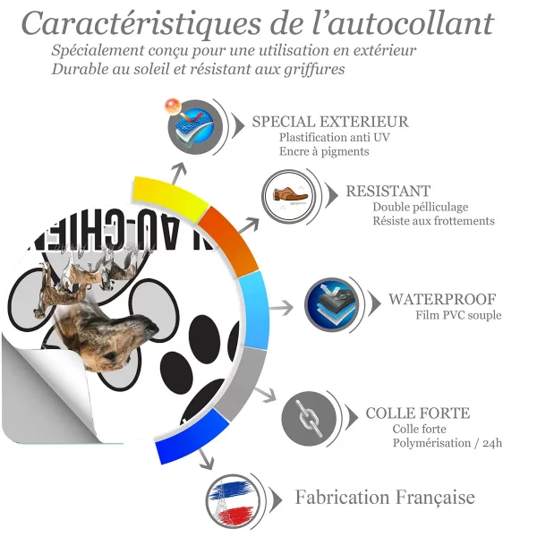 chien a bord Visuel de plusieurs chiens Magyar Agar