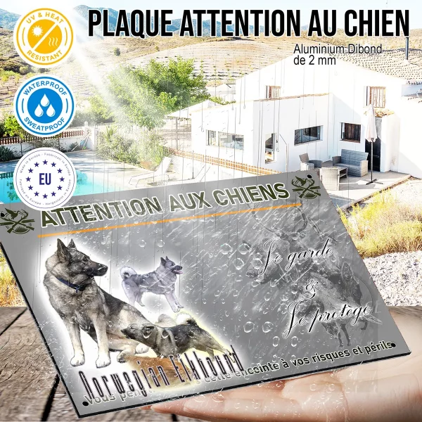 panneau Visuel de Norwegian Elkhound avec plusieurs chiens