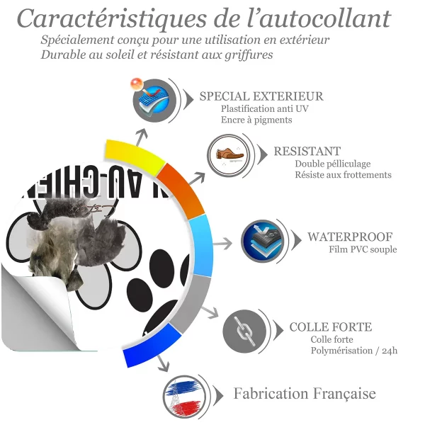 chien a bord Trois chiens Cesky Terrier