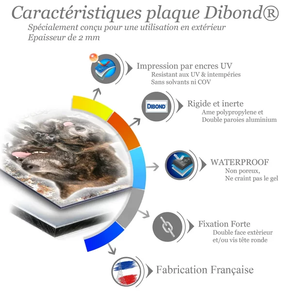 je monte la garde Visuel d'Akita Inu avec têtes et corps