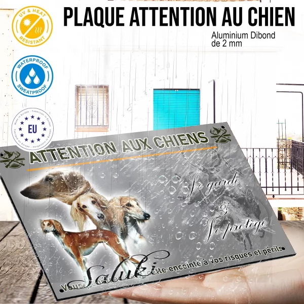 panneau Image de Saluki avec 3 chiens et 1 tête en profil.