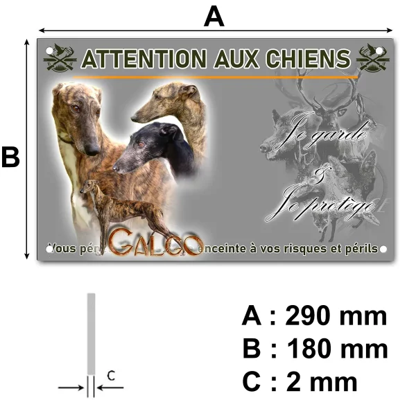 pancarte Galgos en groupe avec différentes robes