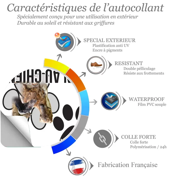 chien a bord Galgos en groupe avec différentes robes