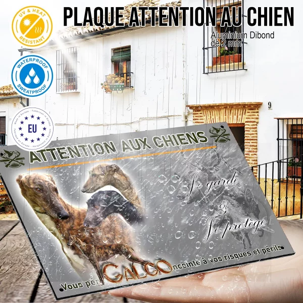 panneau Galgos en groupe avec différentes robes